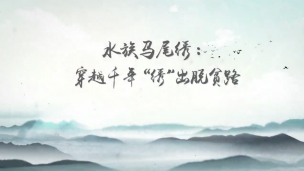 水族马尾绣：穿越千年“绣”出脱贫路